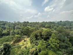 Normanton Park (D5), Apartment #440852391